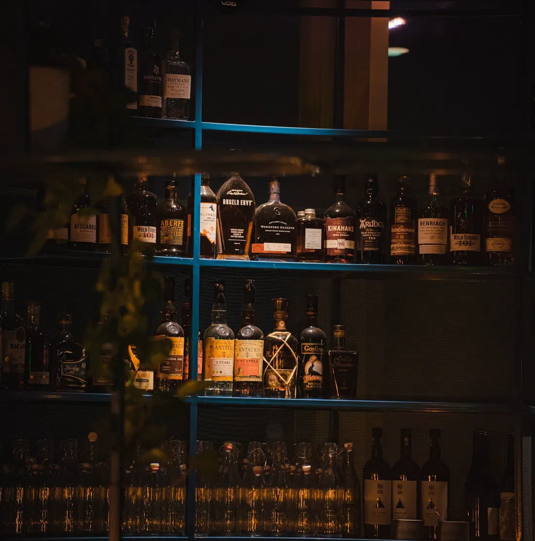 Monkey Bar Cologne, Cologne