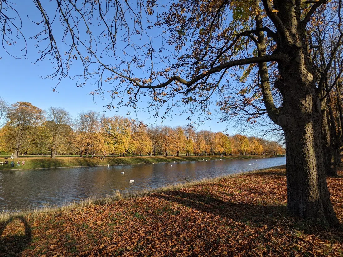 Kölner Stadtwald & Decksteiner Weiher, Köln