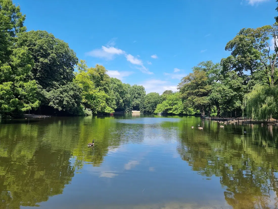 Volksgarten, Köln