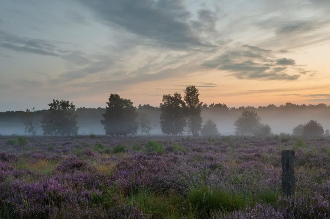 Wahner Heide, Köln