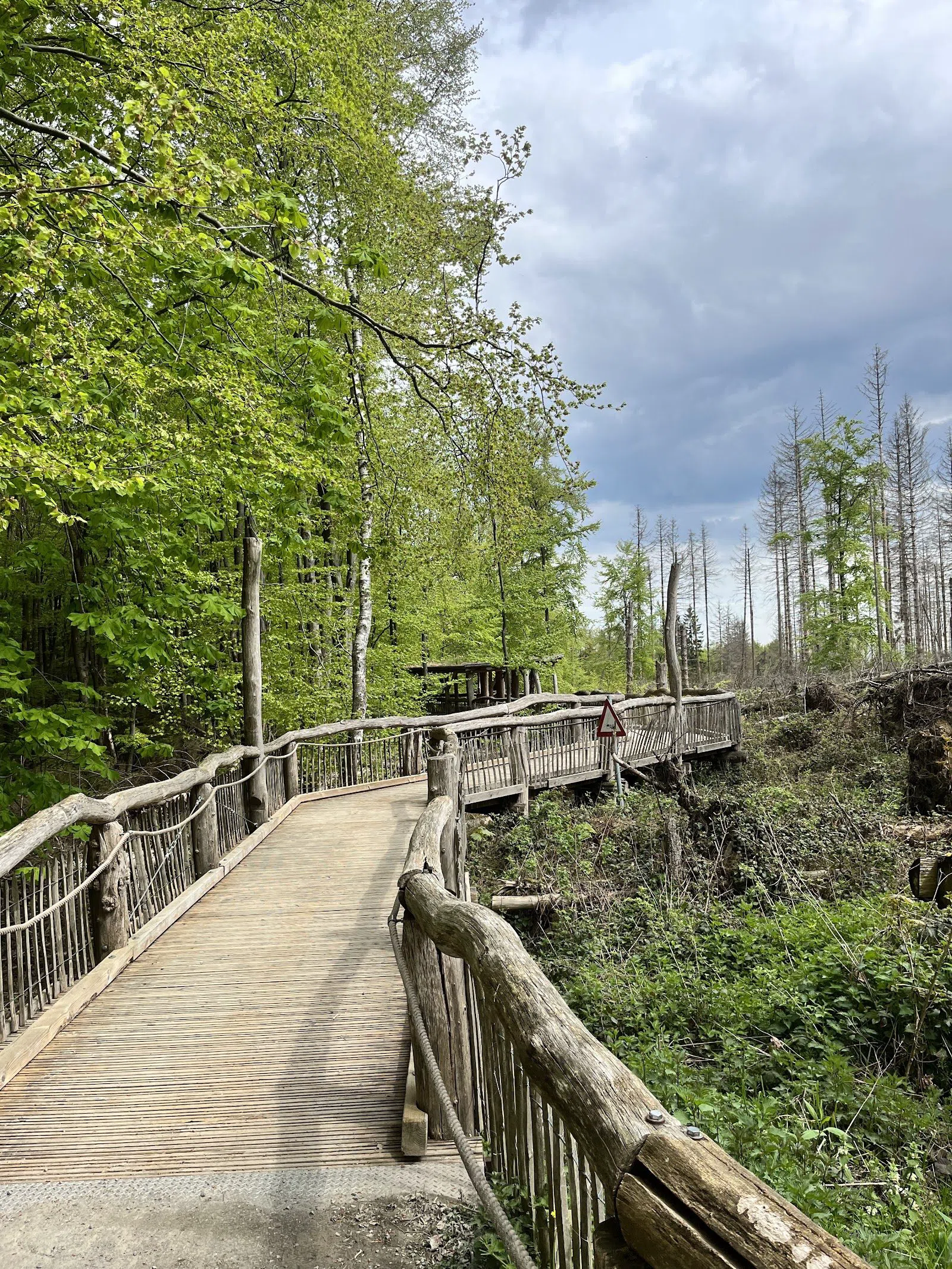 Eifel National Park — Wilder Kermeter and the Wilder Weg, Cologne