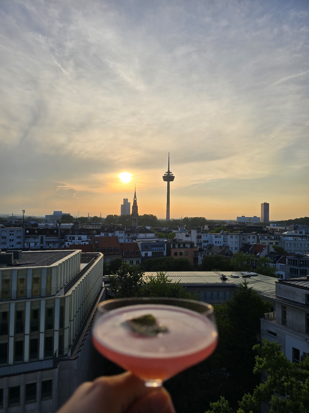 Monkey Bar, Cologne
