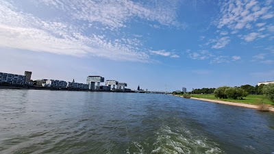 Rhine River Cruise
