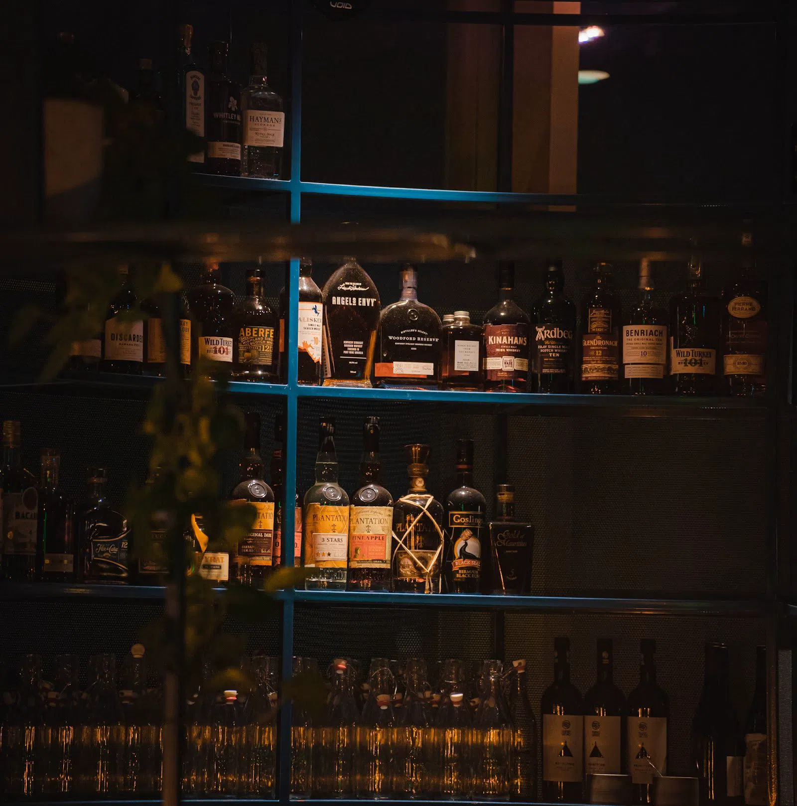 Monkey Bar Cologne, Cologne