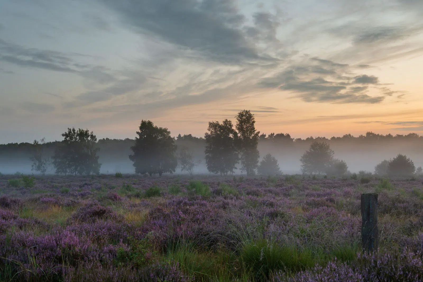 Wahner Heide, Köln